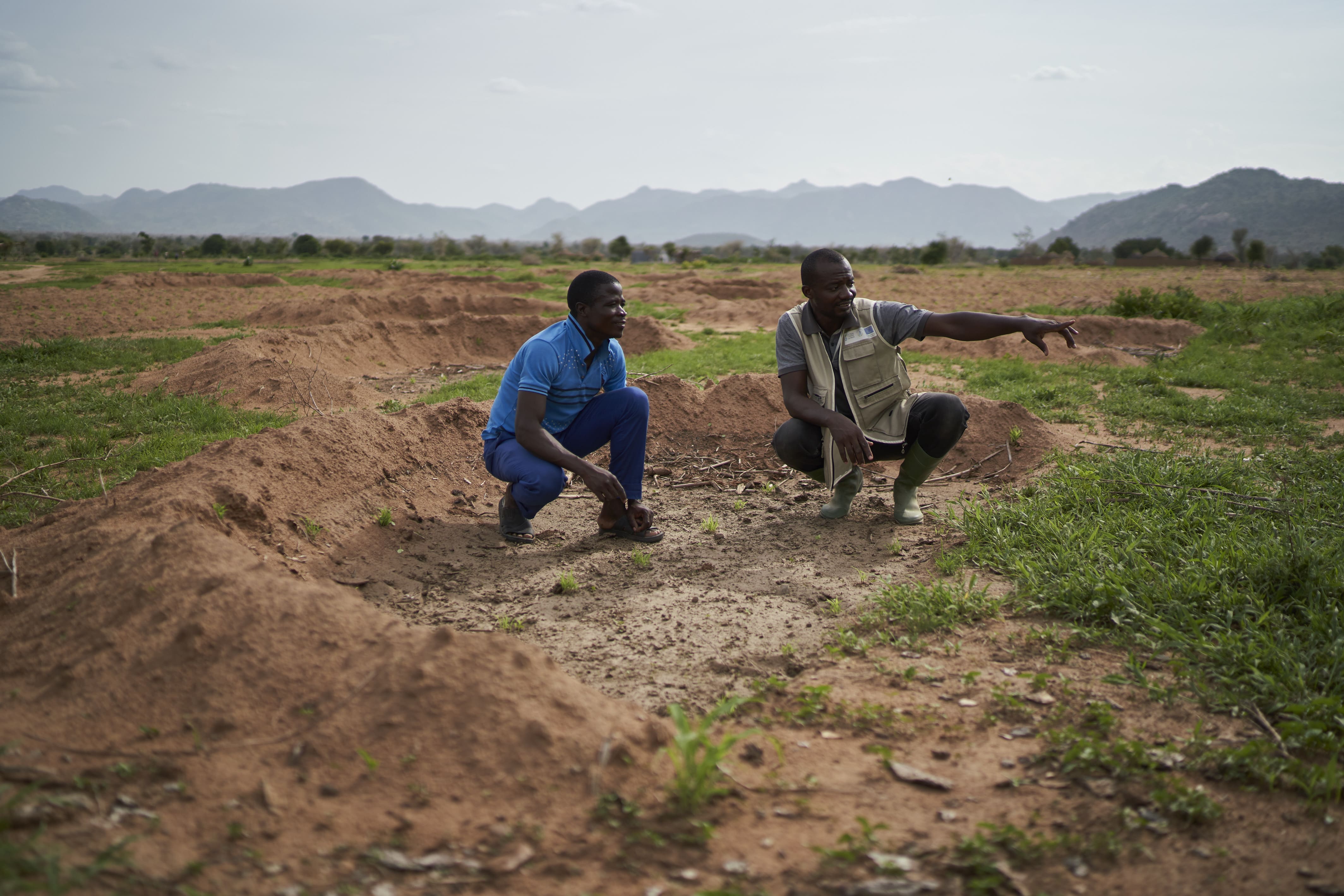 Cameroun agroecologie action contre la faim